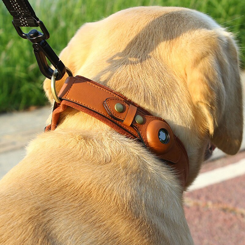 Leather AirTag Dog Collar (airtag not included)