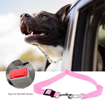 Pet Car Seatbelt