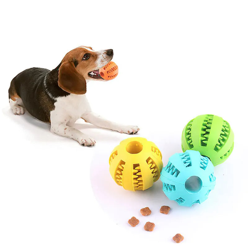 Elastic Chew Toy for dogs with treats