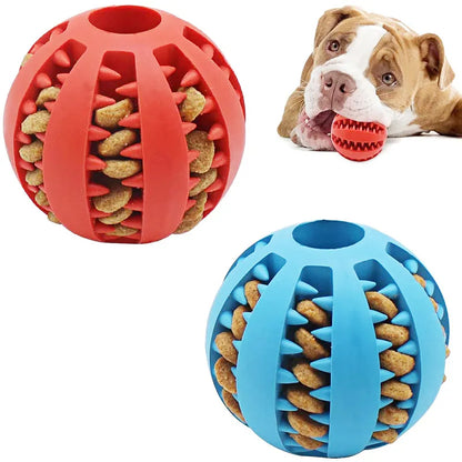 Elastic Chew Toy for dogs with treats