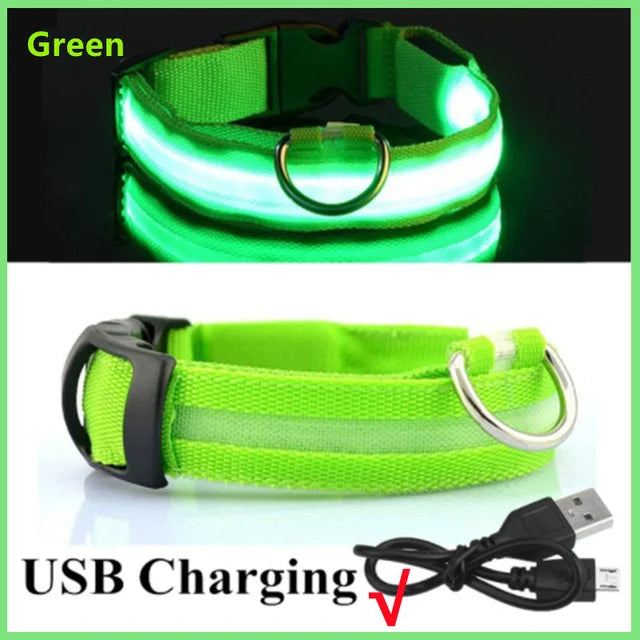 LED Glowing Dog Collars Rechargeable