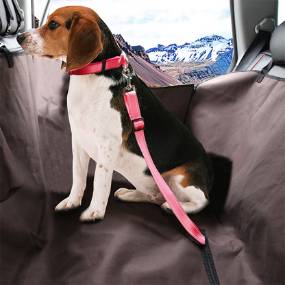 Pet Car Seatbelt